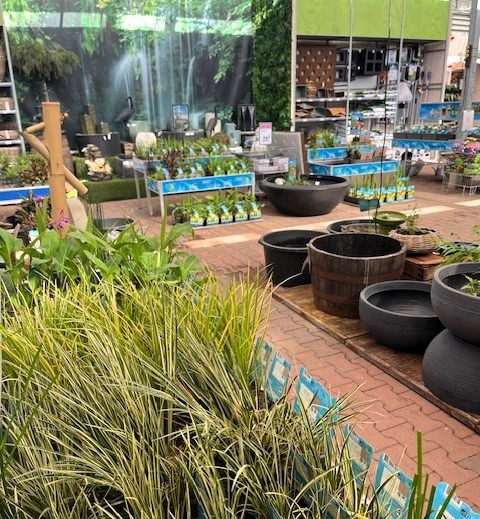 Waterplanten - GroenRijk Schalk Prinsenbeek