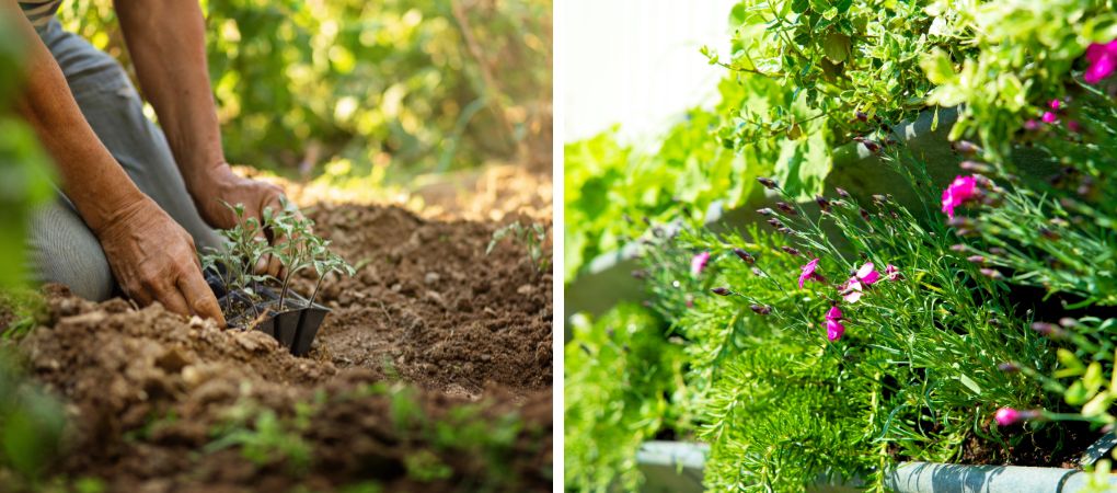 GroenRijk Prinsenbeek | Tips voor een groenere tuin GroenRijk Prinsenbeek | Tips voor een groenere tuin