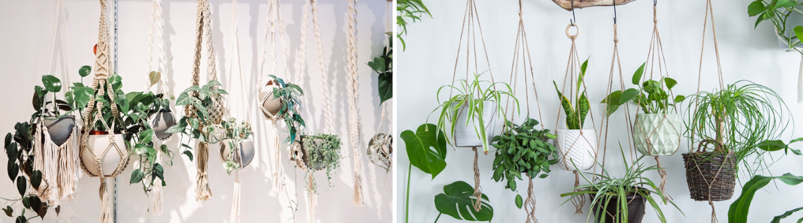 Maak zelf een plantenhanger
