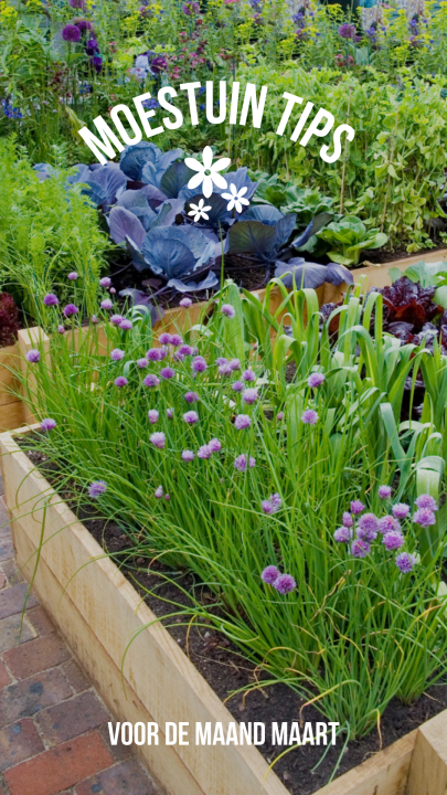 Moestuin tips Moestuin tips