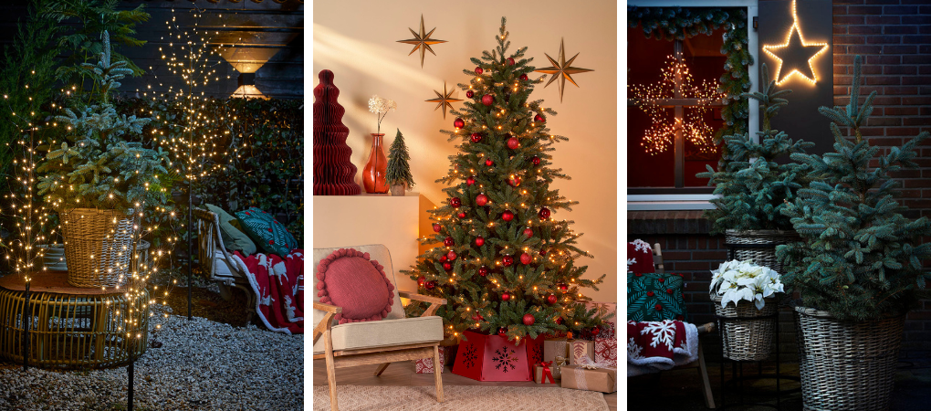 GroenRijk Prinsenbeek | Kerstbomen GroenRijk Prinsenbeek | Kerstbomen