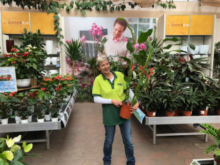 Veelzijdig tuincentrum bij Breda GroenRijk Veelzijdig tuincentrum bij Breda GroenRijk