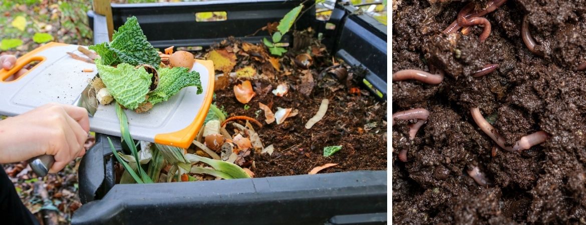 Tuincentrum Schalk | Gezond bodemleven | Compost en humus Tuincentrum Schalk | Gezond bodemleven | Compost en humus
