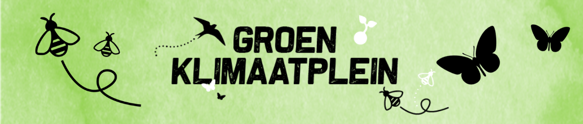 Het Groen Klimaatplein | GroenRijk Schalk Prinsenbeek Het Groen Klimaatplein | GroenRijk Schalk Prinsenbeek