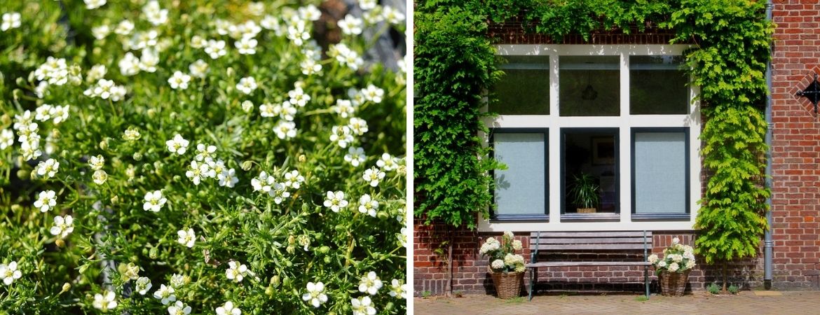 Tuincentrum Schalk | Gezond bodemleven | Tuinbodem verbeteren Tuincentrum Schalk | Gezond bodemleven | Tuinbodem verbeteren