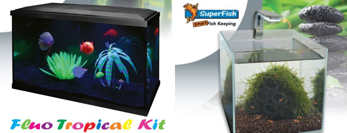 GroenRijk Schalk Prinsenbeek | Aquarium | Aquarium planten GroenRijk Schalk Prinsenbeek | Aquarium | Aquarium planten