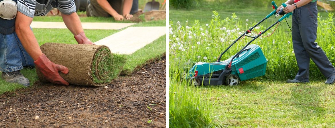 GroenRijk Prinsenbeek | Breda | Gazon | Gazononderhoud | Graszoden GroenRijk Prinsenbeek | Breda | Gazon | Gazononderhoud | Graszoden