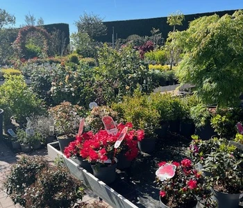 Kijkje in ons tuincentrum