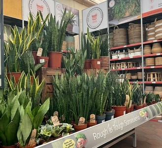 Kijkje in ons tuincentrum