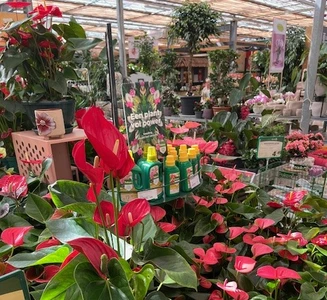 Kijkje in ons tuincentrum