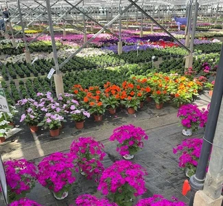 Kijkje in ons tuincentrum