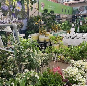 Kijkje in ons tuincentrum