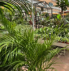 Kijkje in ons tuincentrum