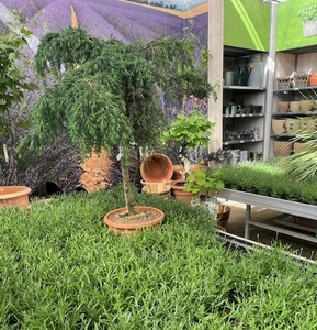 Kijkje in ons tuincentrum