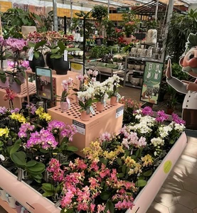 Kijkje in ons tuincentrum