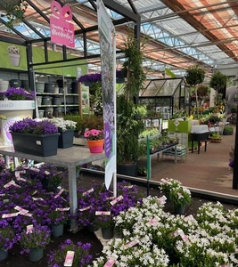 Kijkje in ons tuincentrum