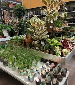 Kijkje in ons tuincentrum