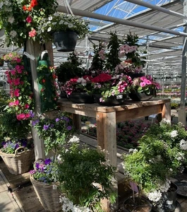 Kijkje in ons tuincentrum