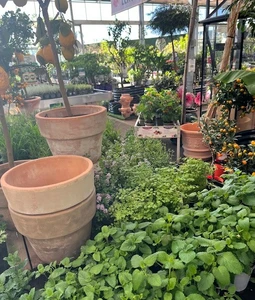Kijkje in ons tuincentrum