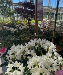 Kijkje in ons tuincentrum