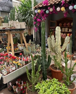 Kijkje in ons tuincentrum