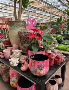 Kijkje in ons tuincentrum