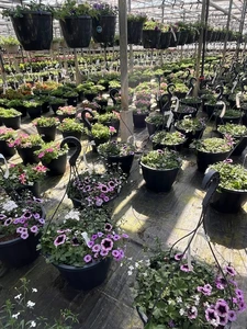 Kijkje in ons tuincentrum