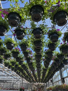 Kijkje in ons tuincentrum
