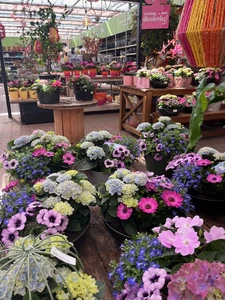 Kijkje in ons tuincentrum