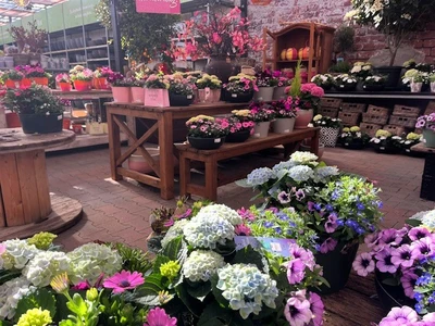 Kijkje in ons tuincentrum