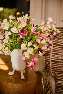 Zijdebloemen & Zijdeplanten