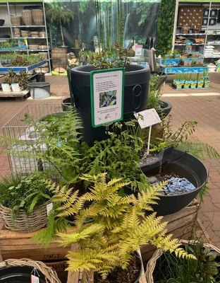 Waterplanten